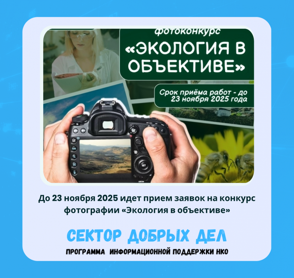 До 23 ноября 2025 идет прием заявок на конкурс фотографии «Экология в объективе»