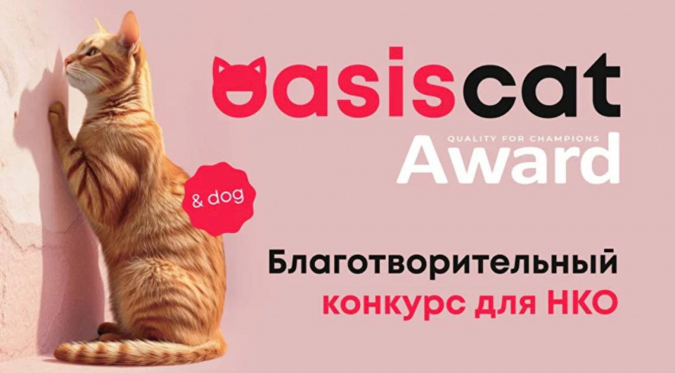 Oasiscat Award объявляет конкурс для НКО, помогающих животным